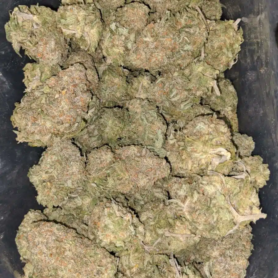green nuken 1 I $69 Oz - Green Nuken