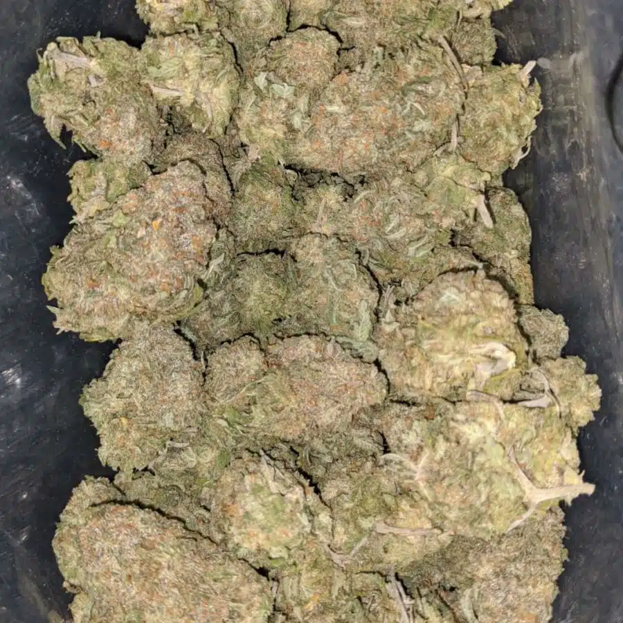 green nuken 2 I $69 Oz - Green Nuken