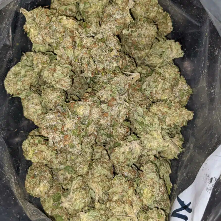 jedi kush 1 I $59 Oz Jedi Kush