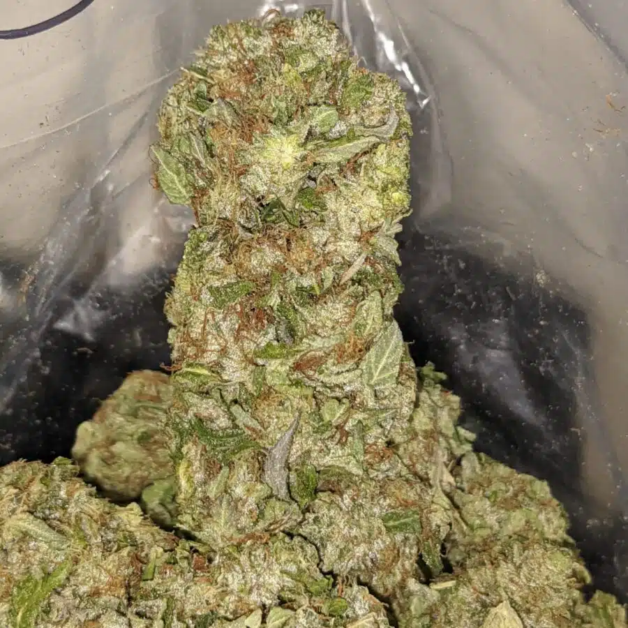 jedi kush 3 I $59 Oz Jedi Kush