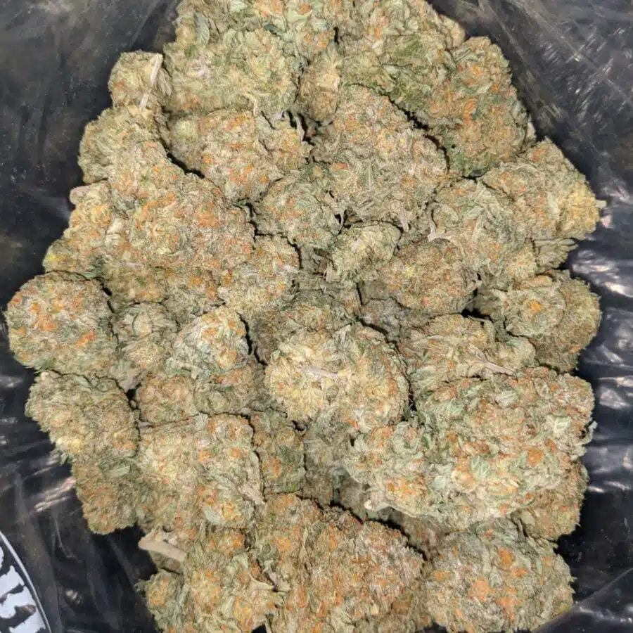 jetfuel 1 I $ 71 Oz - Jetfuel