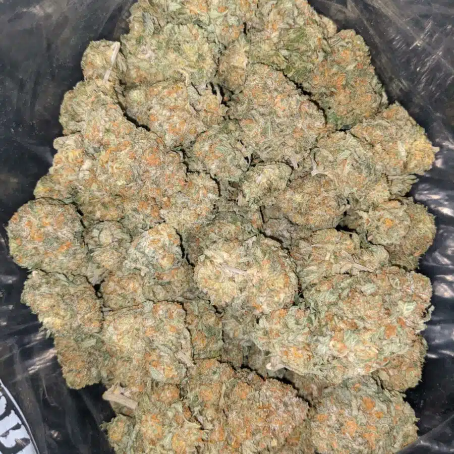 jetfuel 2 I $ 71 Oz - Jetfuel