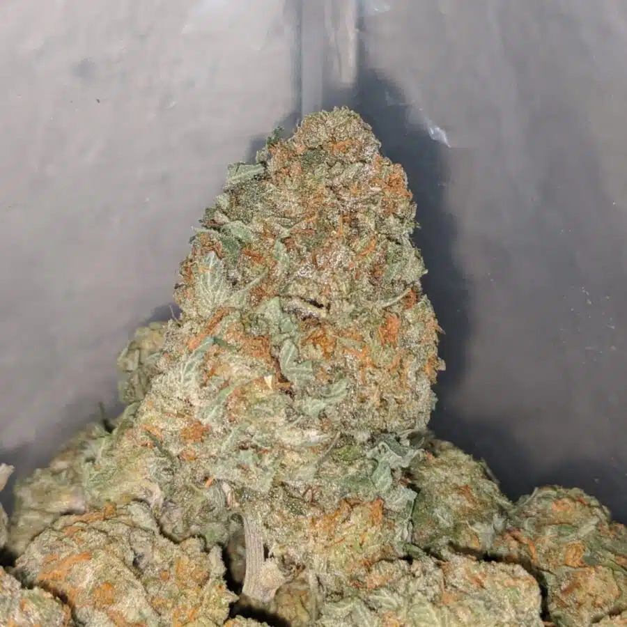 jetfuel 3 I $ 71 Oz - Jetfuel