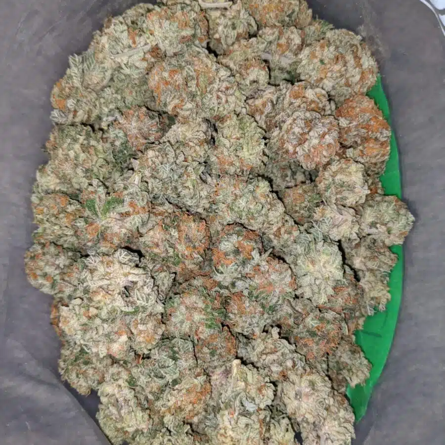king kush bubba 1 I Kings Kush Bubba