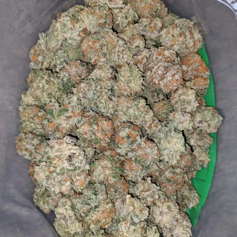 king kush bubba 2 I Kings Kush Bubba