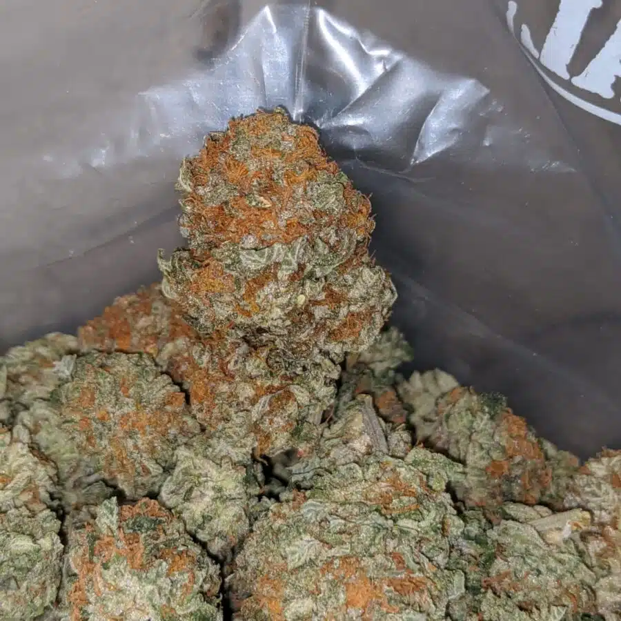 king kush bubba 3 I Kings Kush Bubba