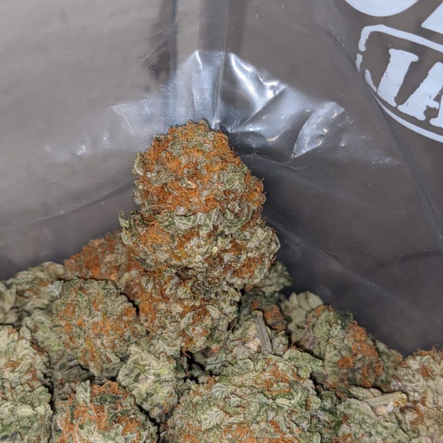 Kings Kush Bubba - Image 6