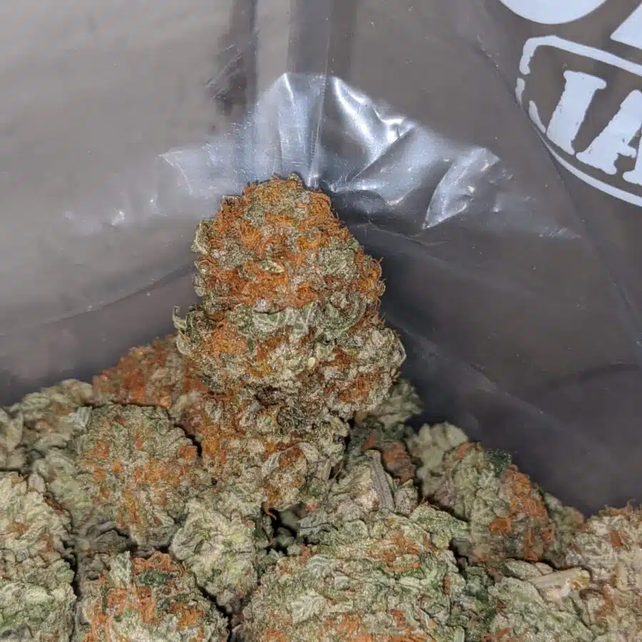 king kush bubba 4 I Kings Kush Bubba