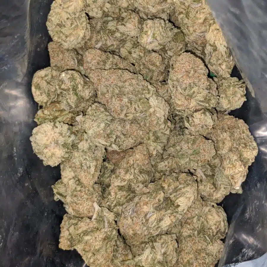 lemon pineapple express 1 I Lemon Pineapple Express