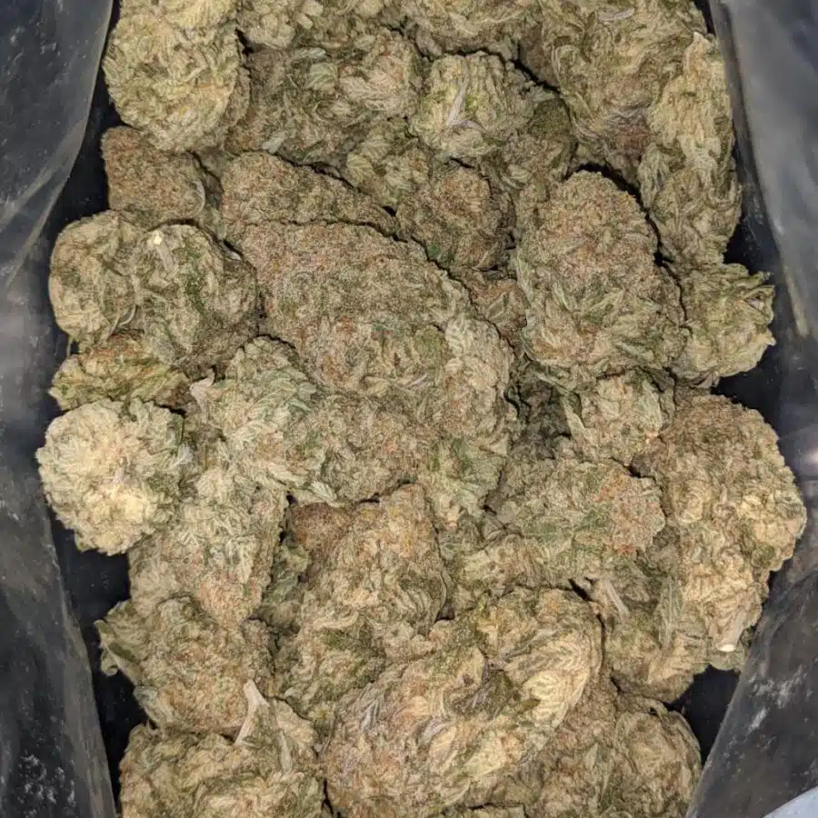 lemon pineapple express 2 I Lemon Pineapple Express