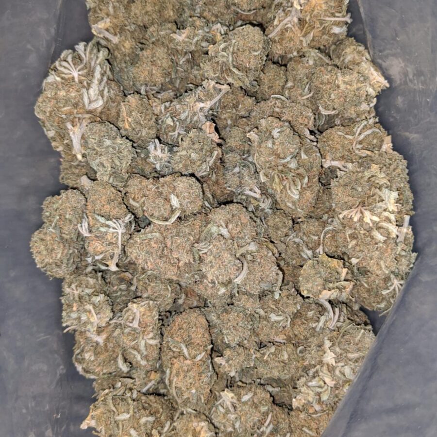 og wreck bulk special 1 I OG Wreck Bulk Special