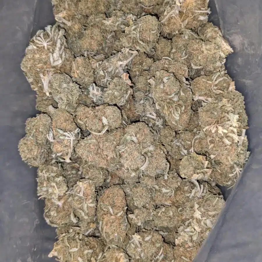 og wreck bulk special 1 I OG Wreck Bulk Special