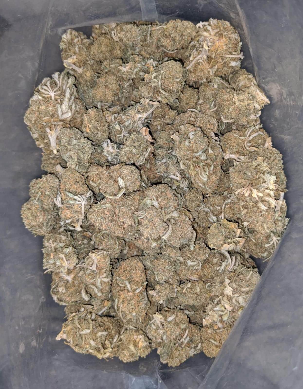 OG Wreck Bulk Special - Image 5