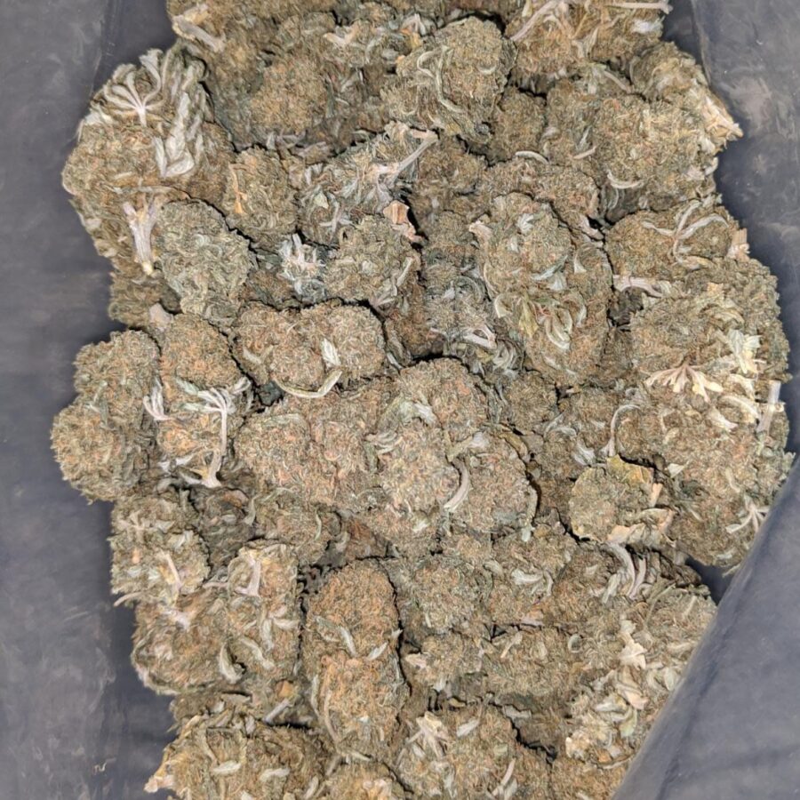 og wreck bulk special 2 I OG Wreck Bulk Special