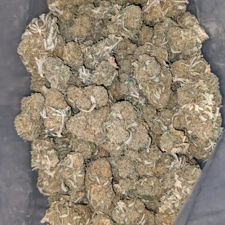 og wreck bulk special 2 I OG Wreck Bulk Special
