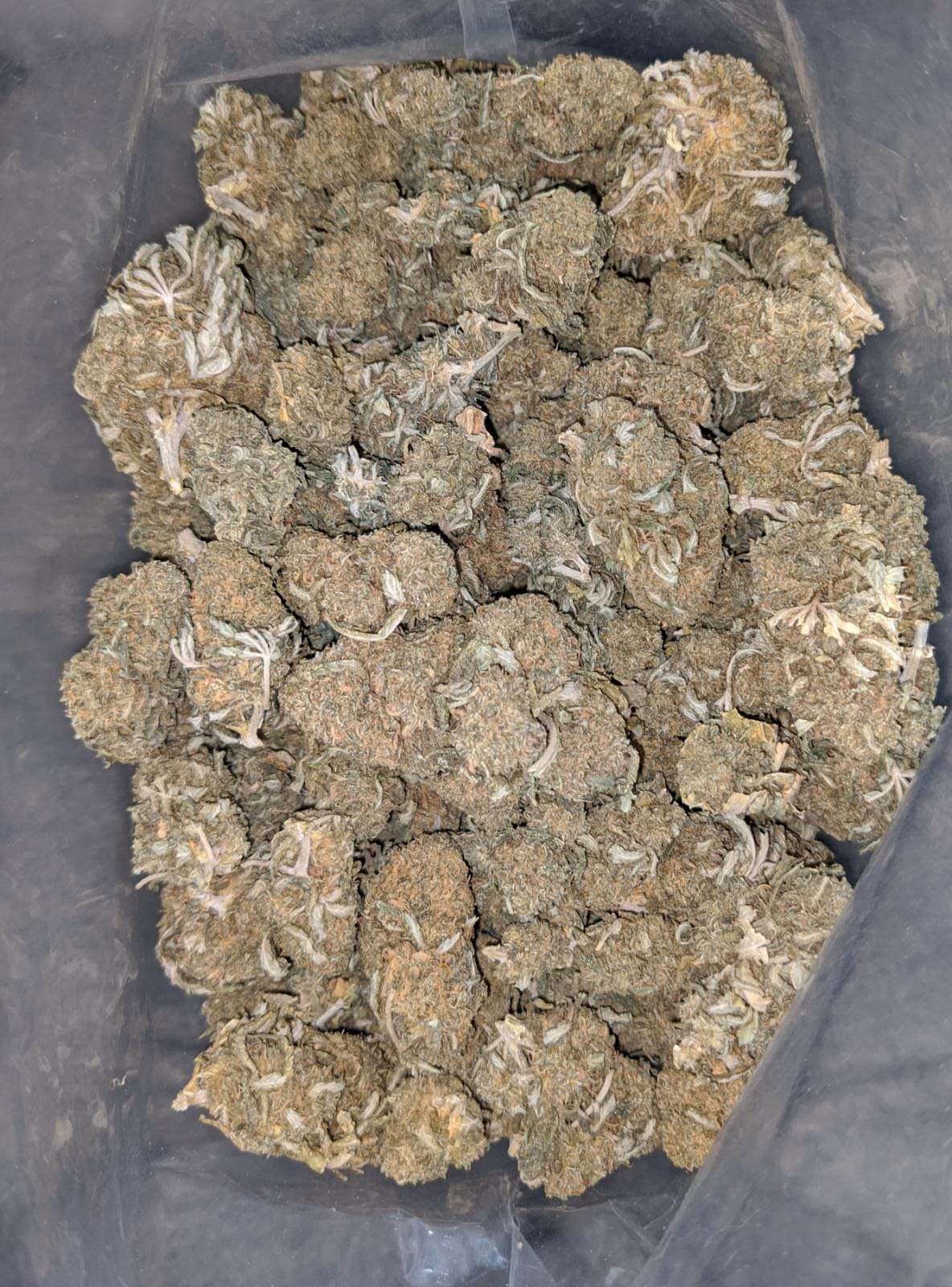OG Wreck Bulk Special - Image 4