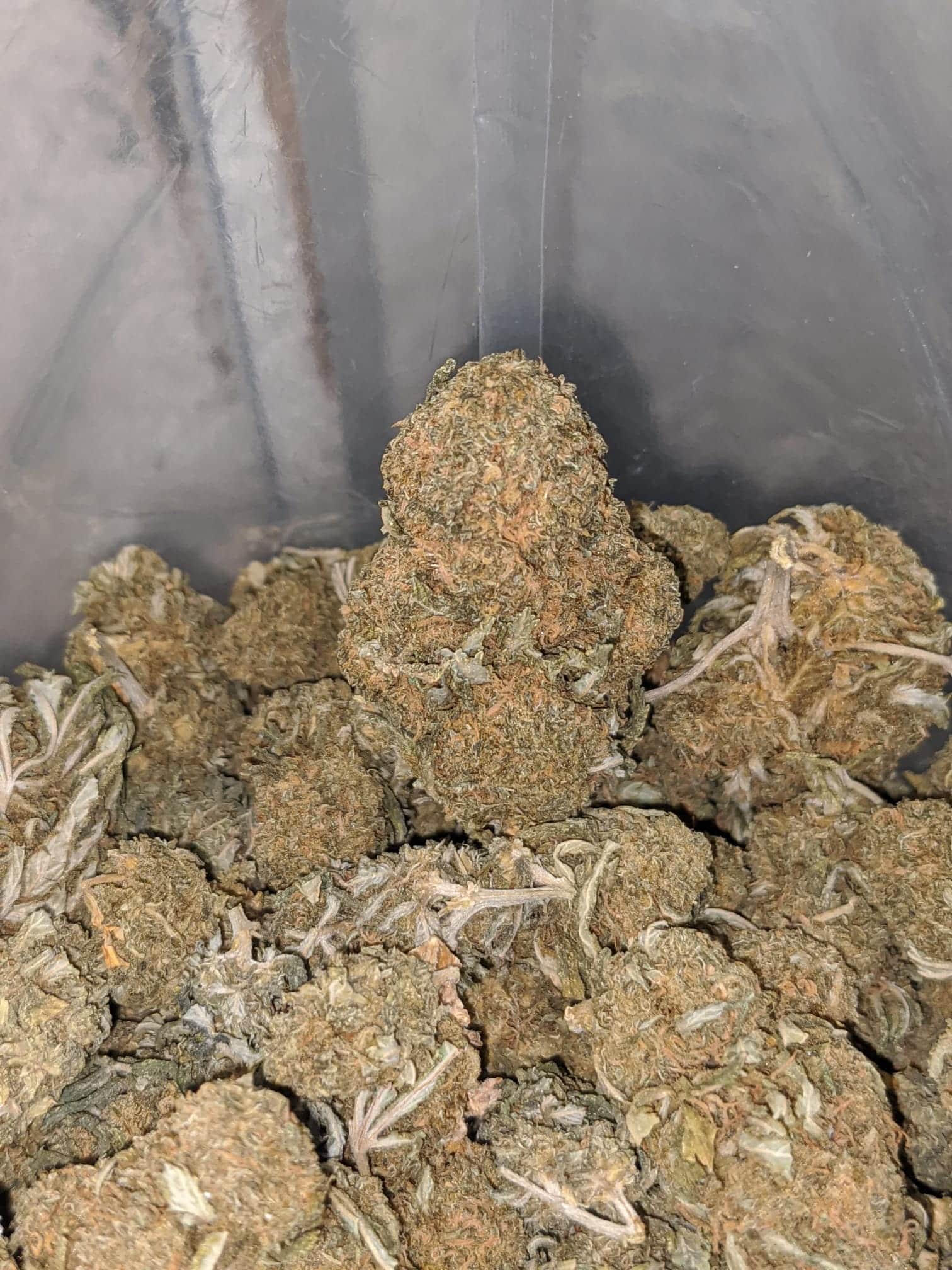 OG Wreck Bulk Special - Image 7