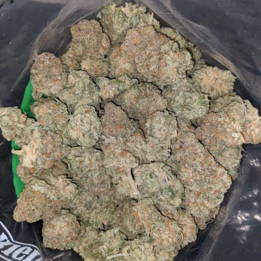 orange bubba 1 I Orange Bubba