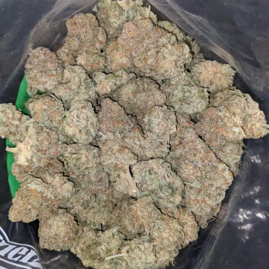 orange bubba 2 I Orange Bubba
