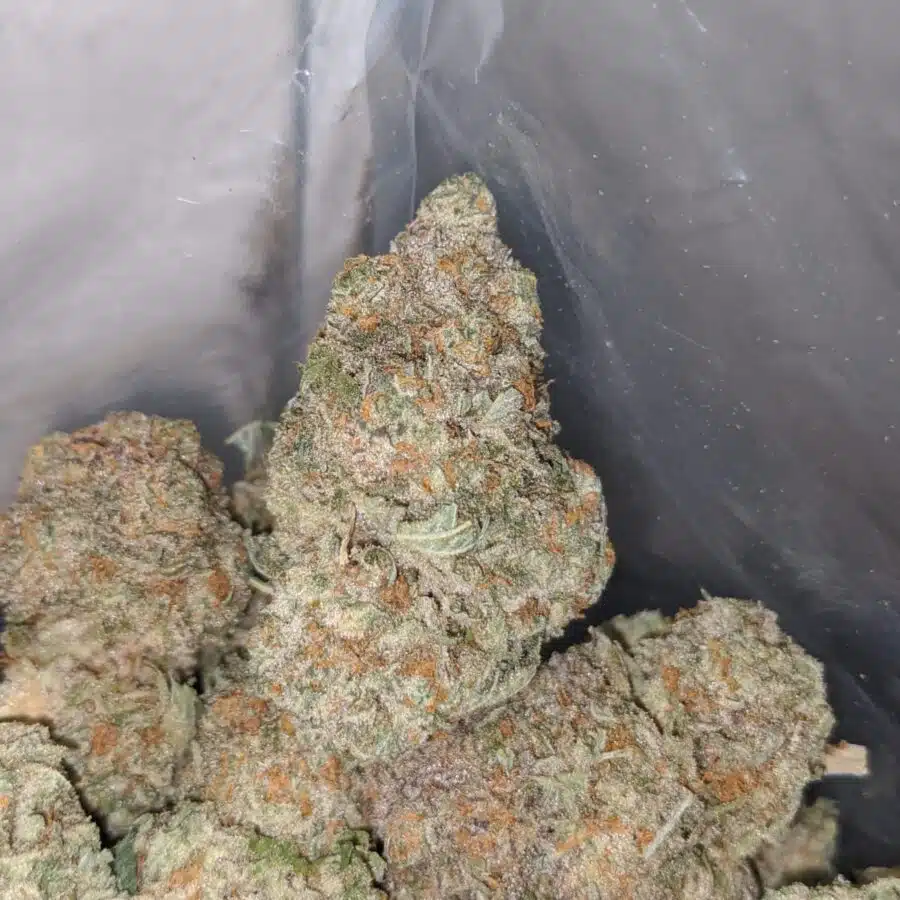 orange bubba 3 I Orange Bubba