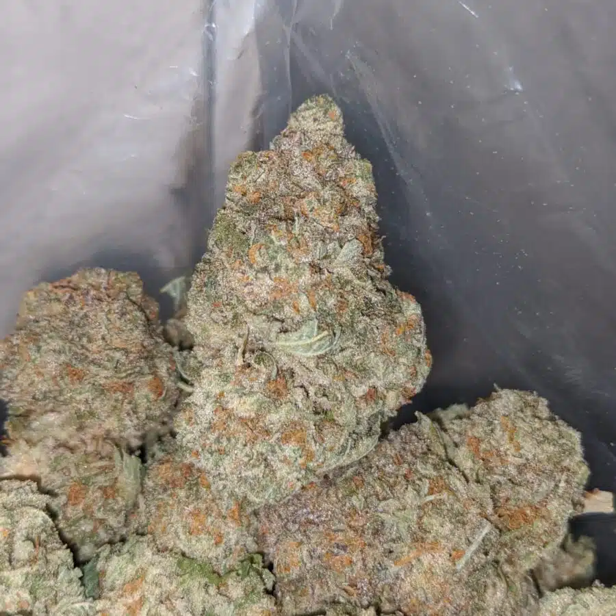 orange bubba 4 I Orange Bubba