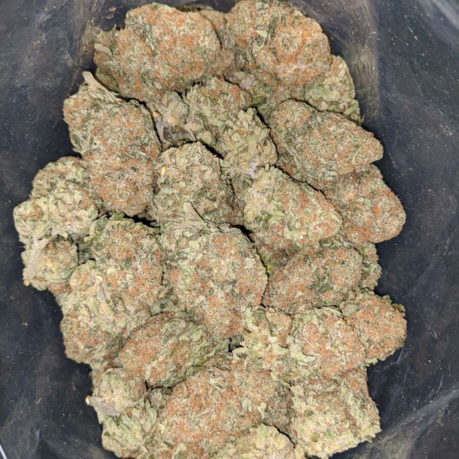 Orange Dream - Image 5