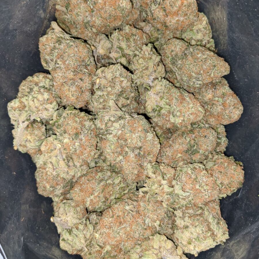 Orange Dream - Image 4
