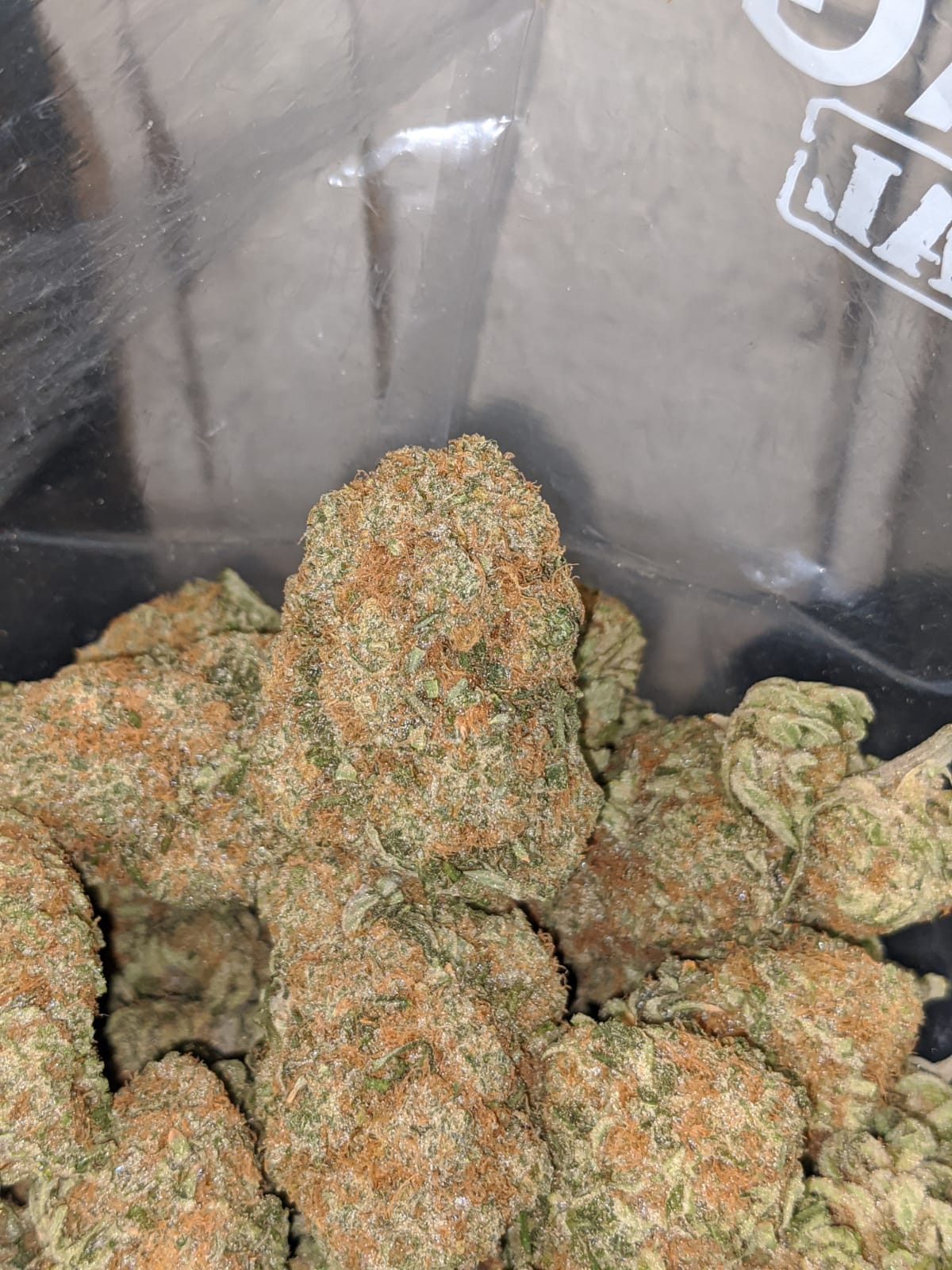 Orange Dream - Image 7