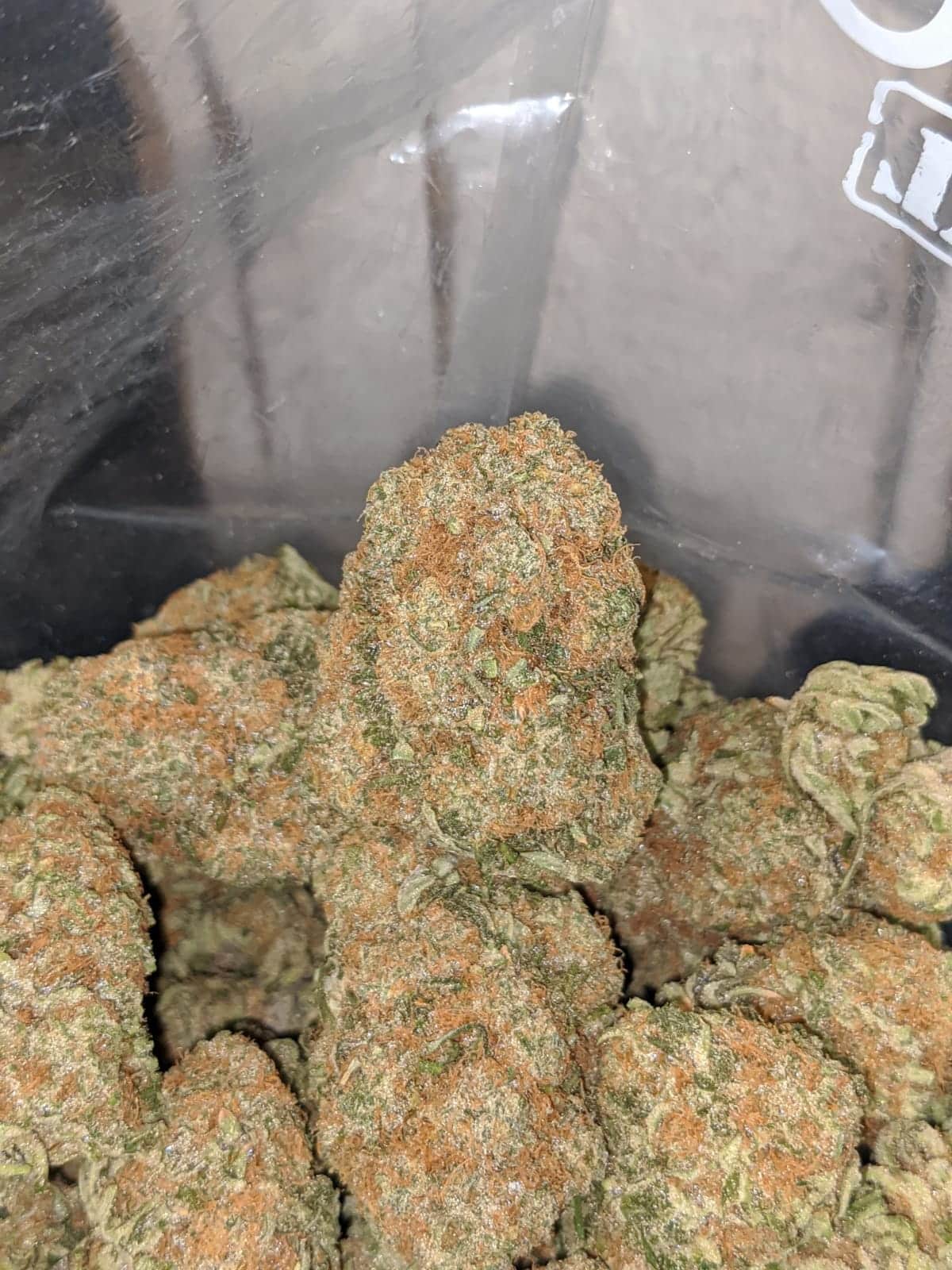 Orange Dream - Image 6