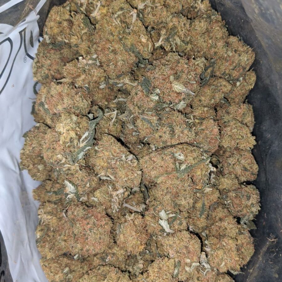 Orange Whisky Bulk Special - Image 4