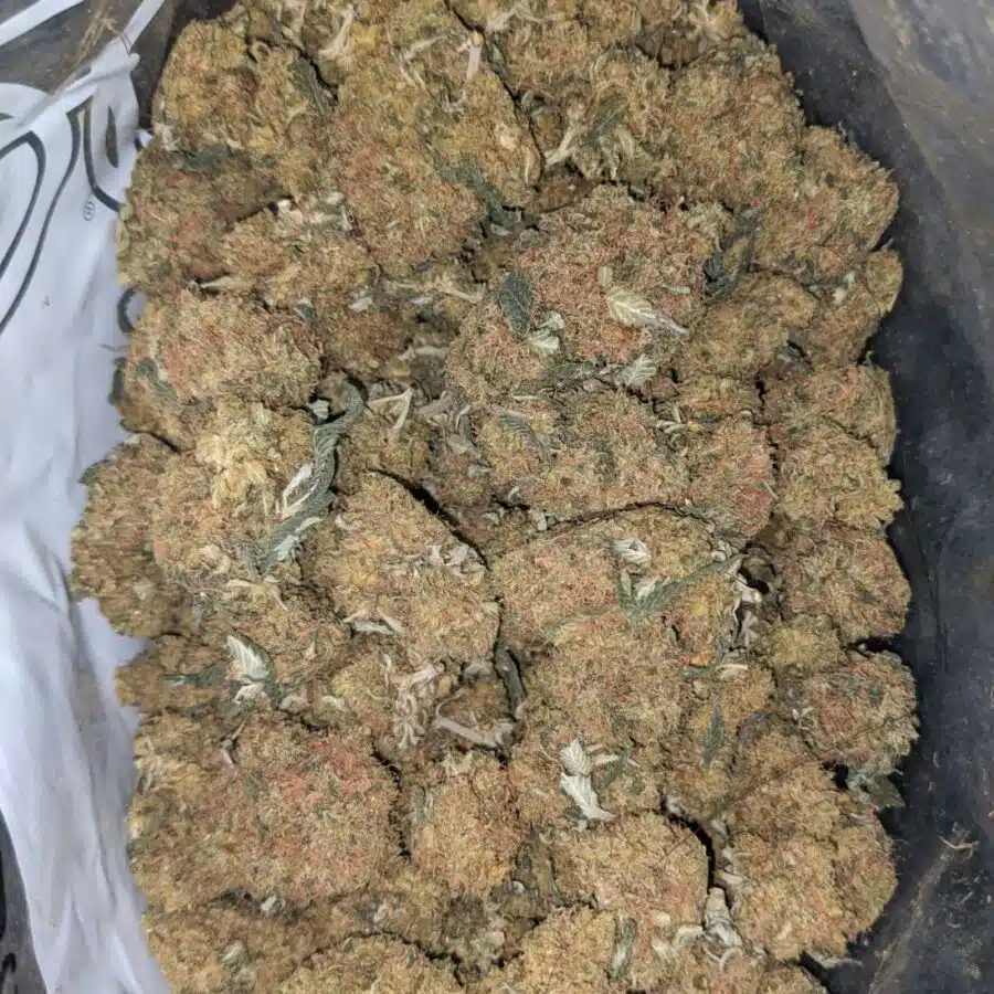 orange whiskey bulk special 1 I Orange Whisky Bulk Special