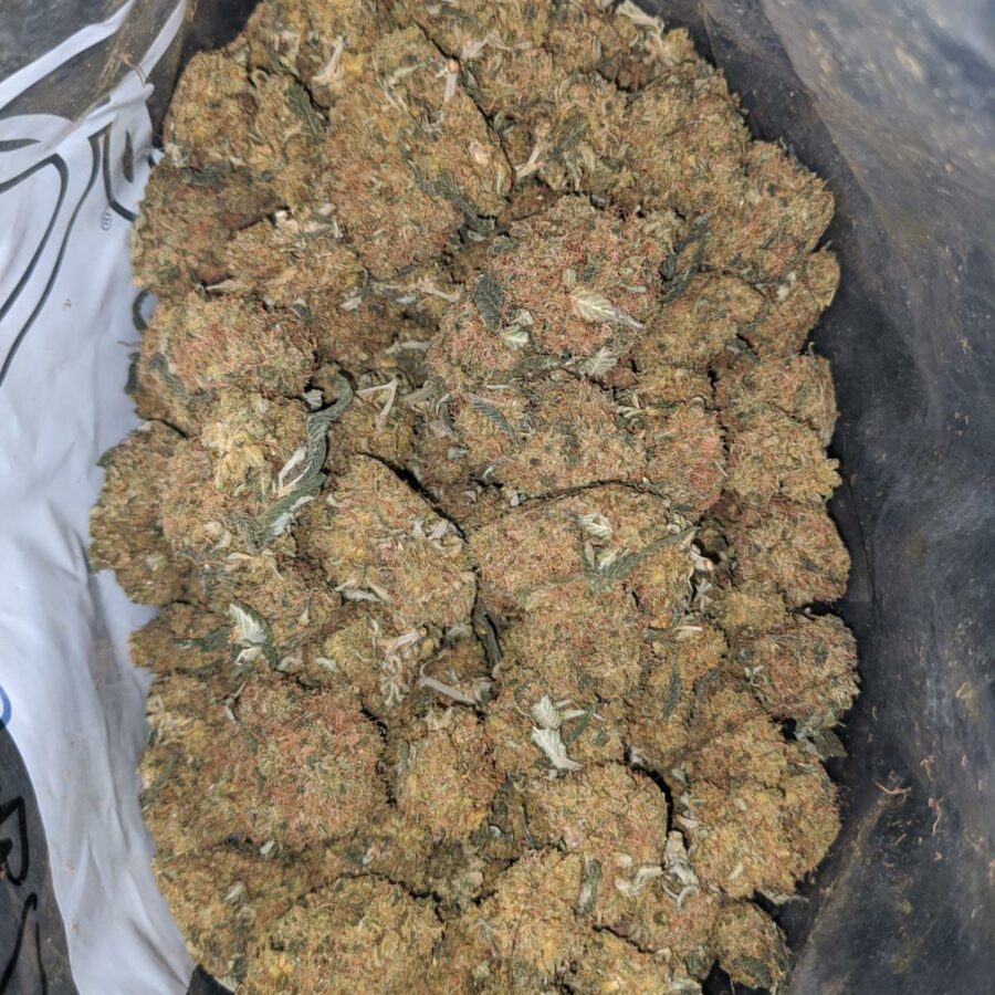 Orange Whisky Bulk Special - Image 7