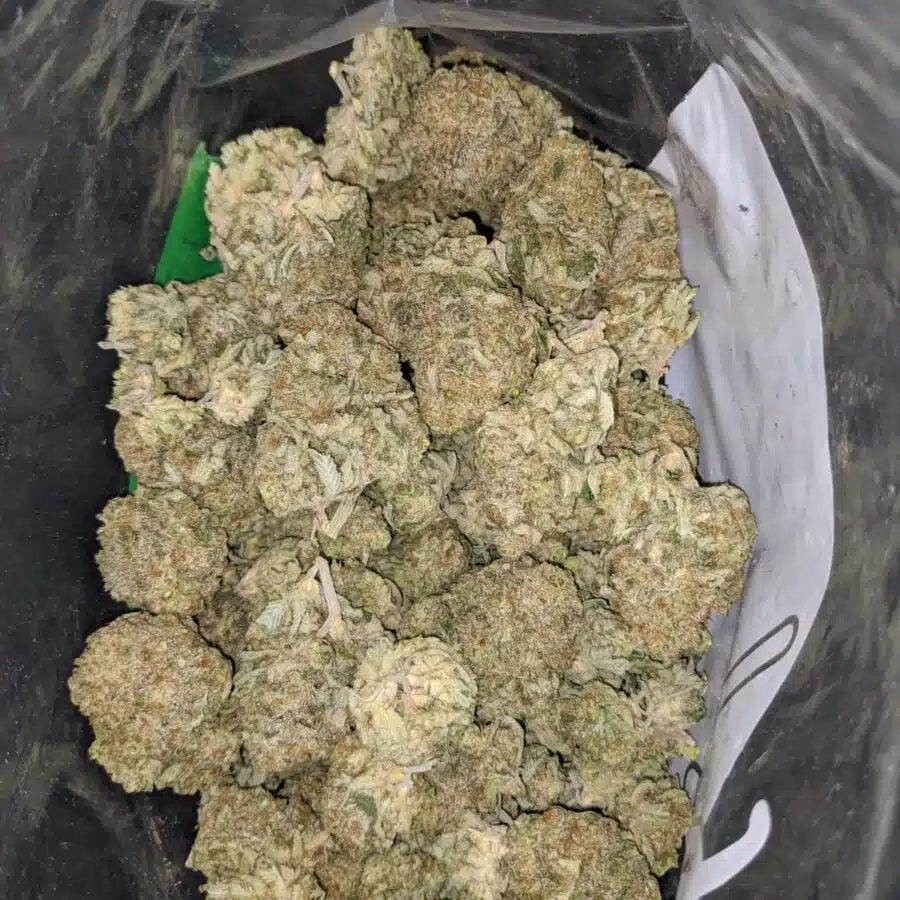 pineapple X silver haze 1 I Pineapple X Silver Haze