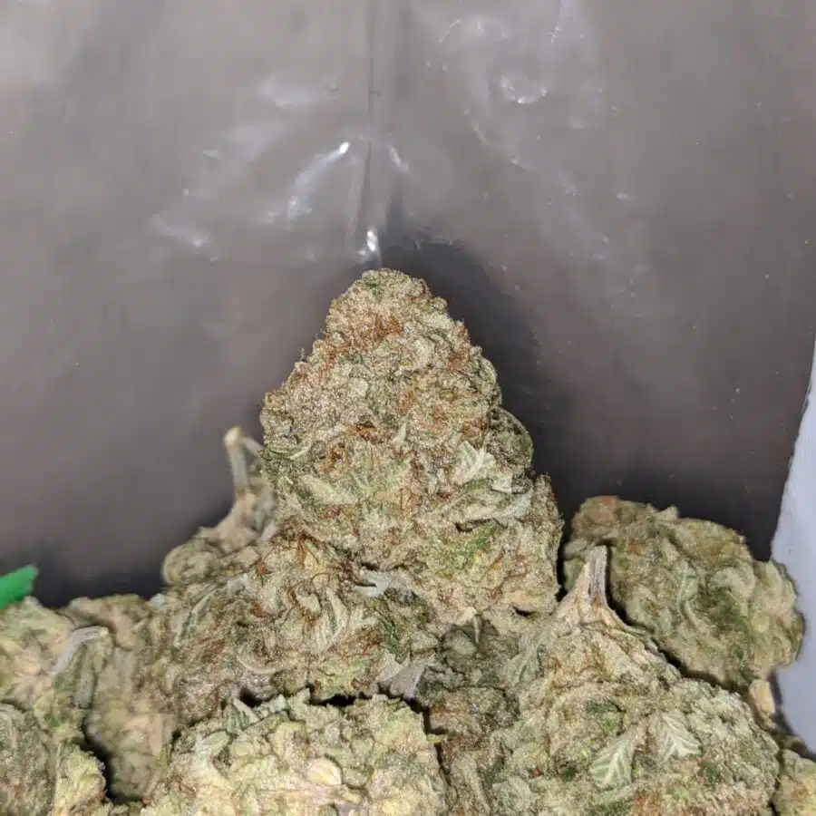 pineapple X silver haze 4 I Pineapple X Silver Haze