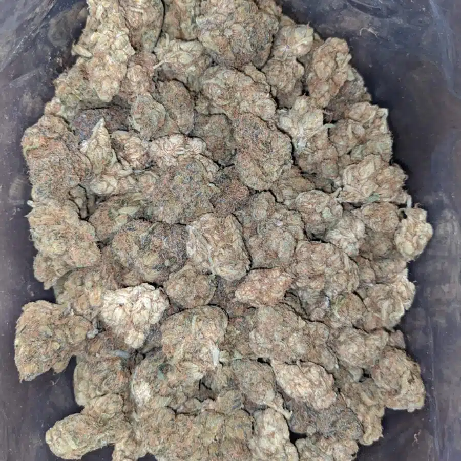 pugs breath bulk special 1 I $ 35 Oz - Pugs Breath