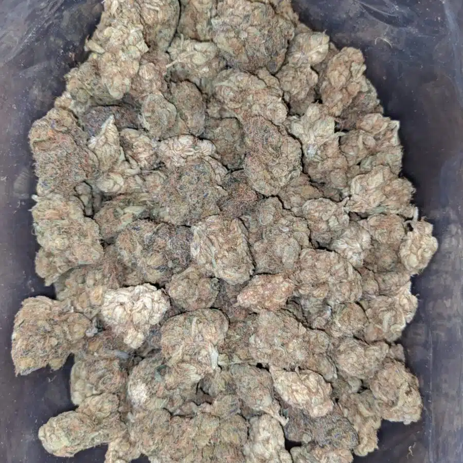 pugs breath bulk special 2 I $ 35 Oz - Pugs Breath