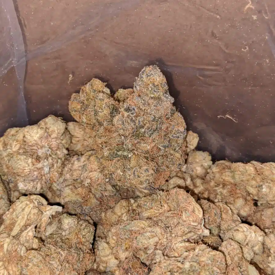 pugs breath bulk special 3 I $ 35 Oz - Pugs Breath