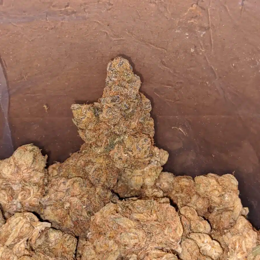 pugs breath bulk special 4 I $ 35 Oz - Pugs Breath