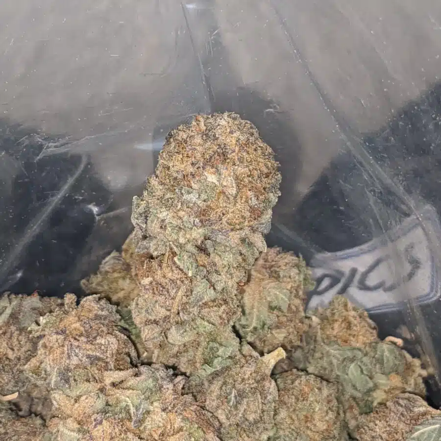 purple cosimic bulk special 3 I Purple Cosmic Bulk Special