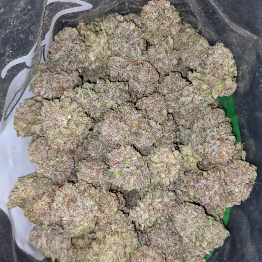 purple cream AAA 1 I Purple Cream AAA