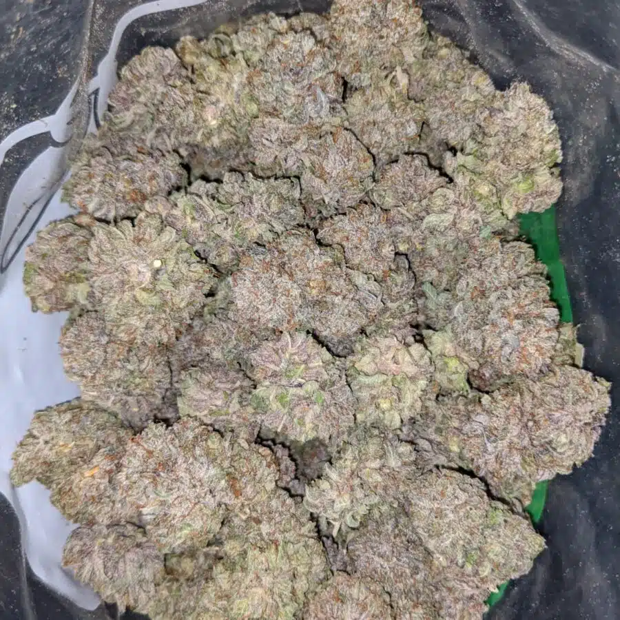 purple cream AAA 2 I Purple Cream AAA