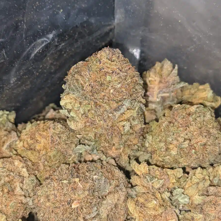 purple widow bulk special 3 I Purple Widow Bulk Special