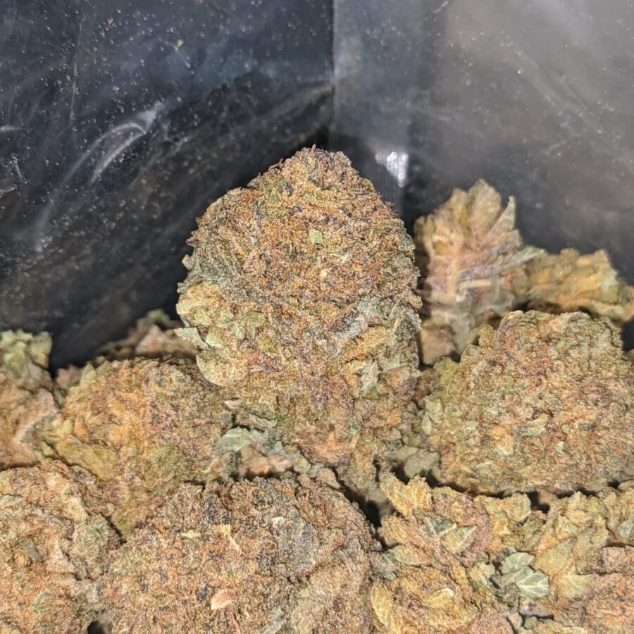 Purple Widow Bulk Special - Image 6