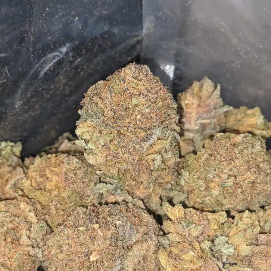 purple widow bulk special 4 I Purple Widow Bulk Special