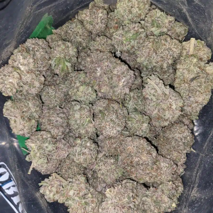 purple wreck og aaa 1 I Purple OG Wreck