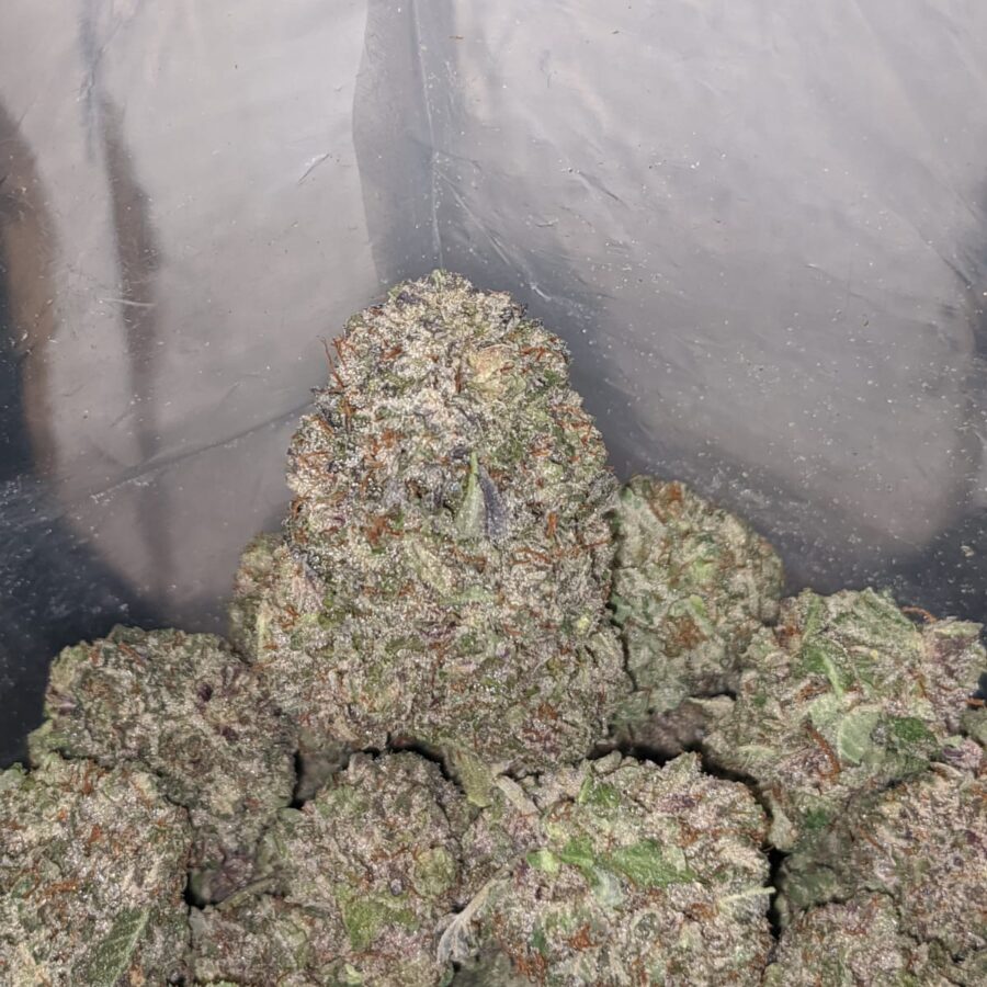 purple wreck og aaa 3 I Purple OG Wreck