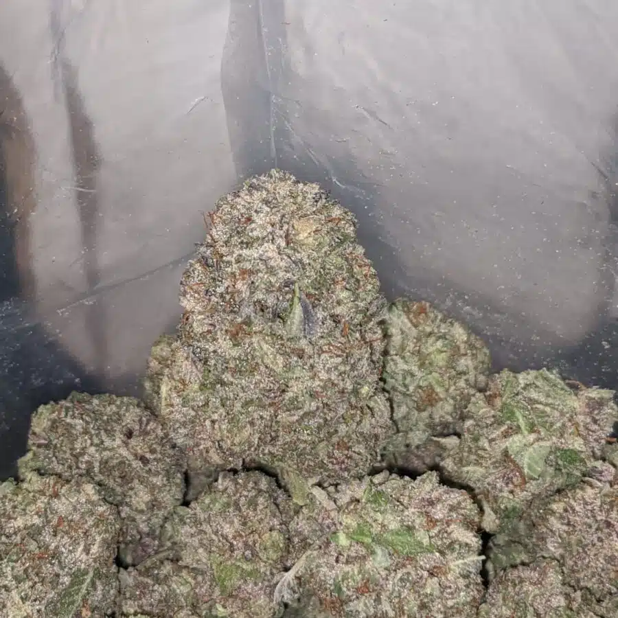 purple wreck og aaa 3 I Purple OG Wreck