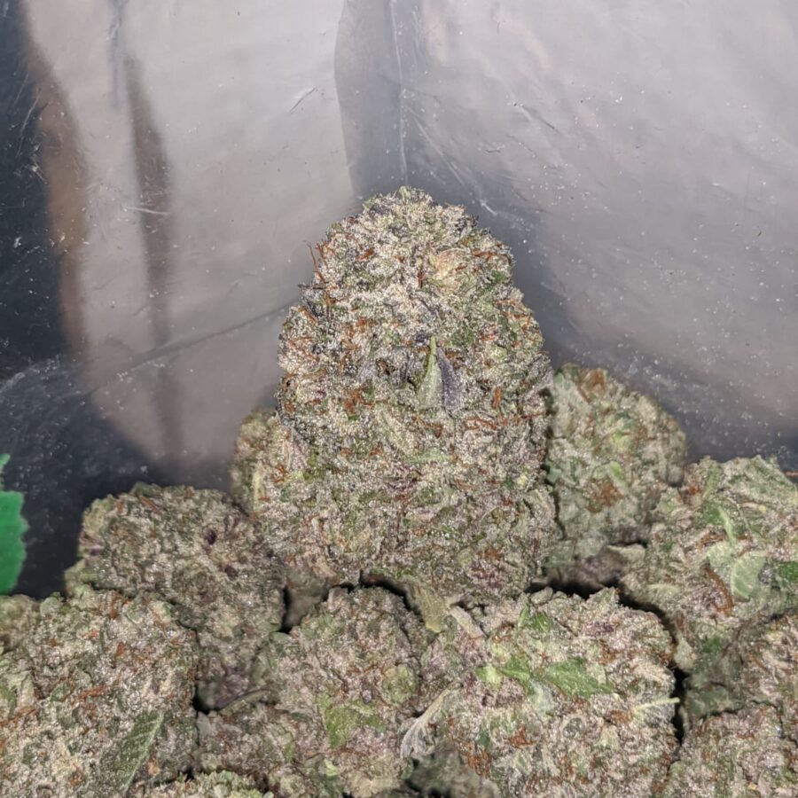 purple wreck og aaa 4 I Purple OG Wreck