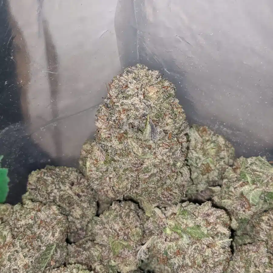 purple wreck og aaa 4 I Purple OG Wreck