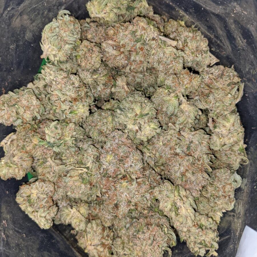 rockstar masterkush 2 I Rockstar Master Kush